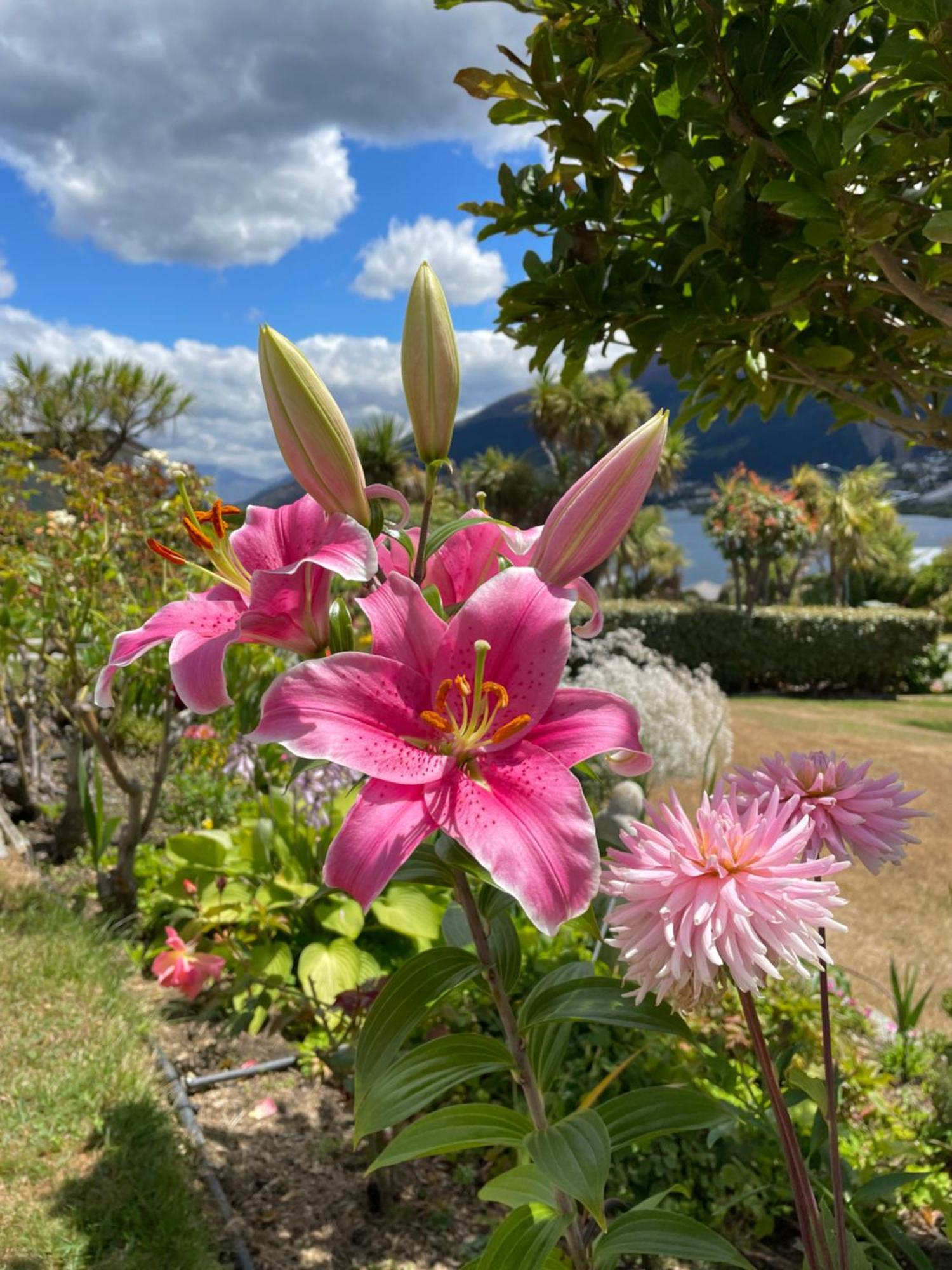 Kelvin Garden Villa Queenstown Exterior photo